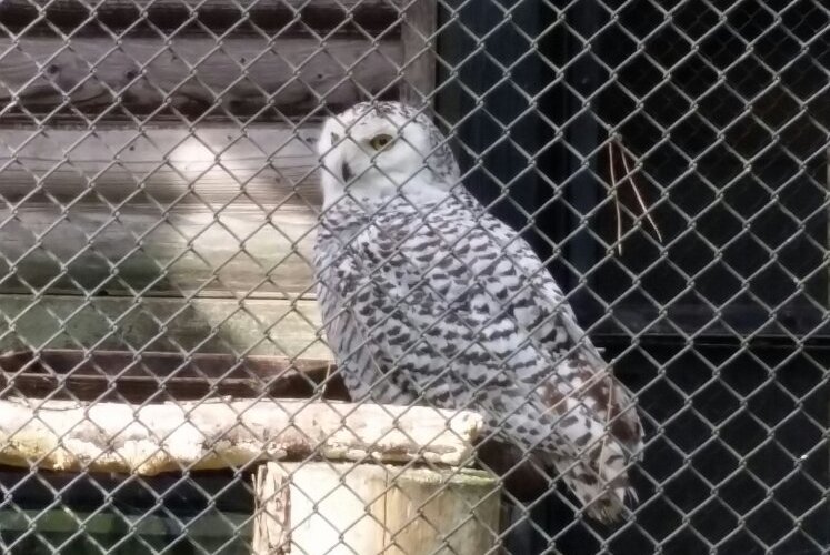 Morioka Zoological Park