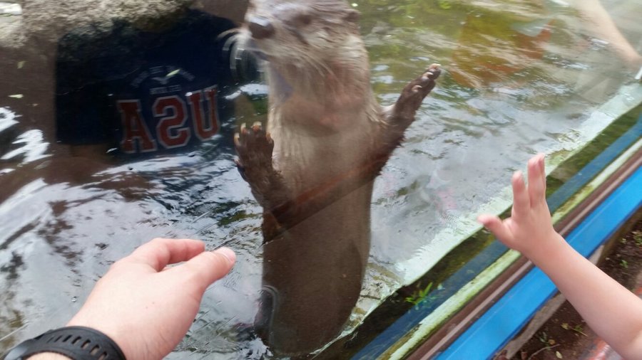 Morioka Zoological Park