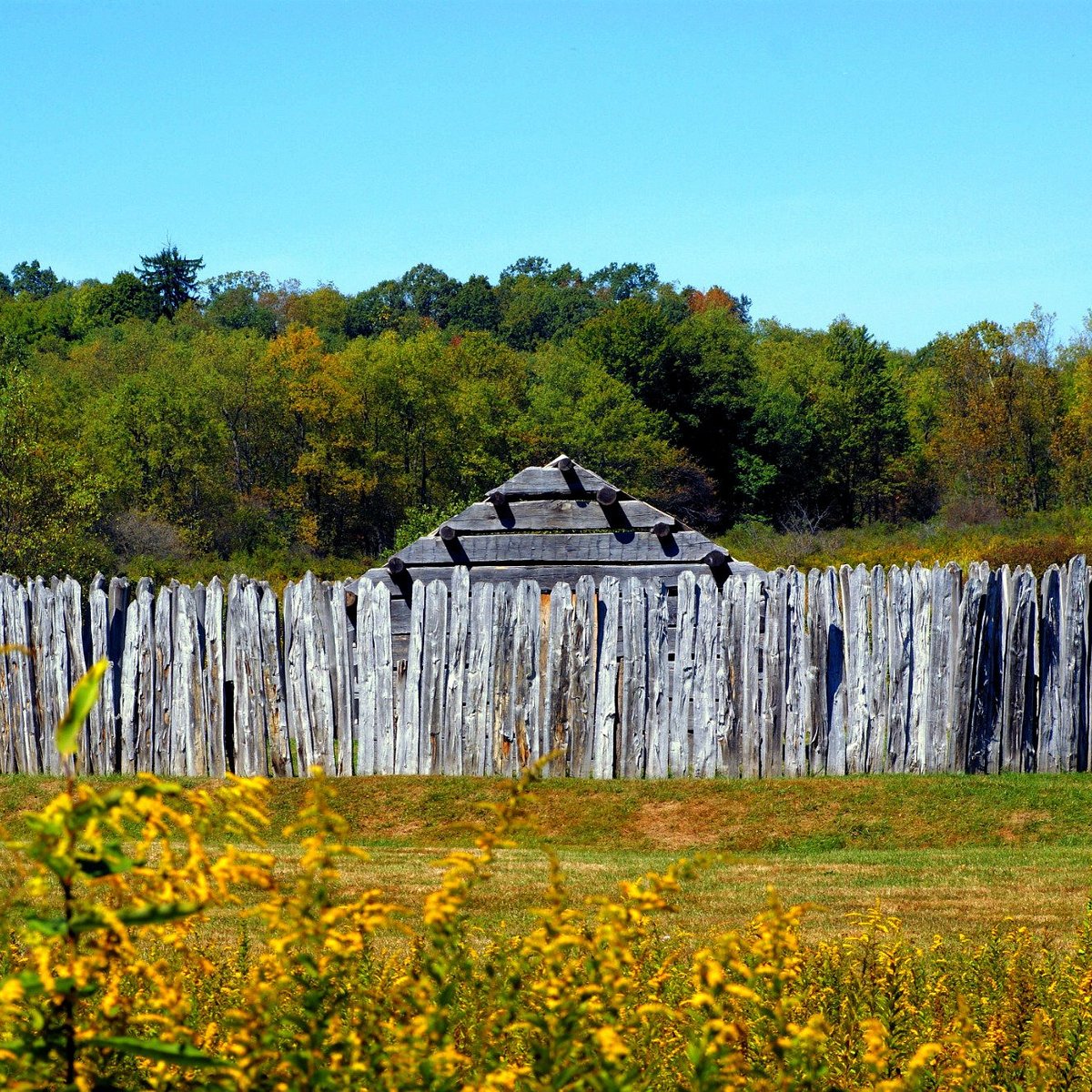 Fort Necessity National Battlefield, Farmington