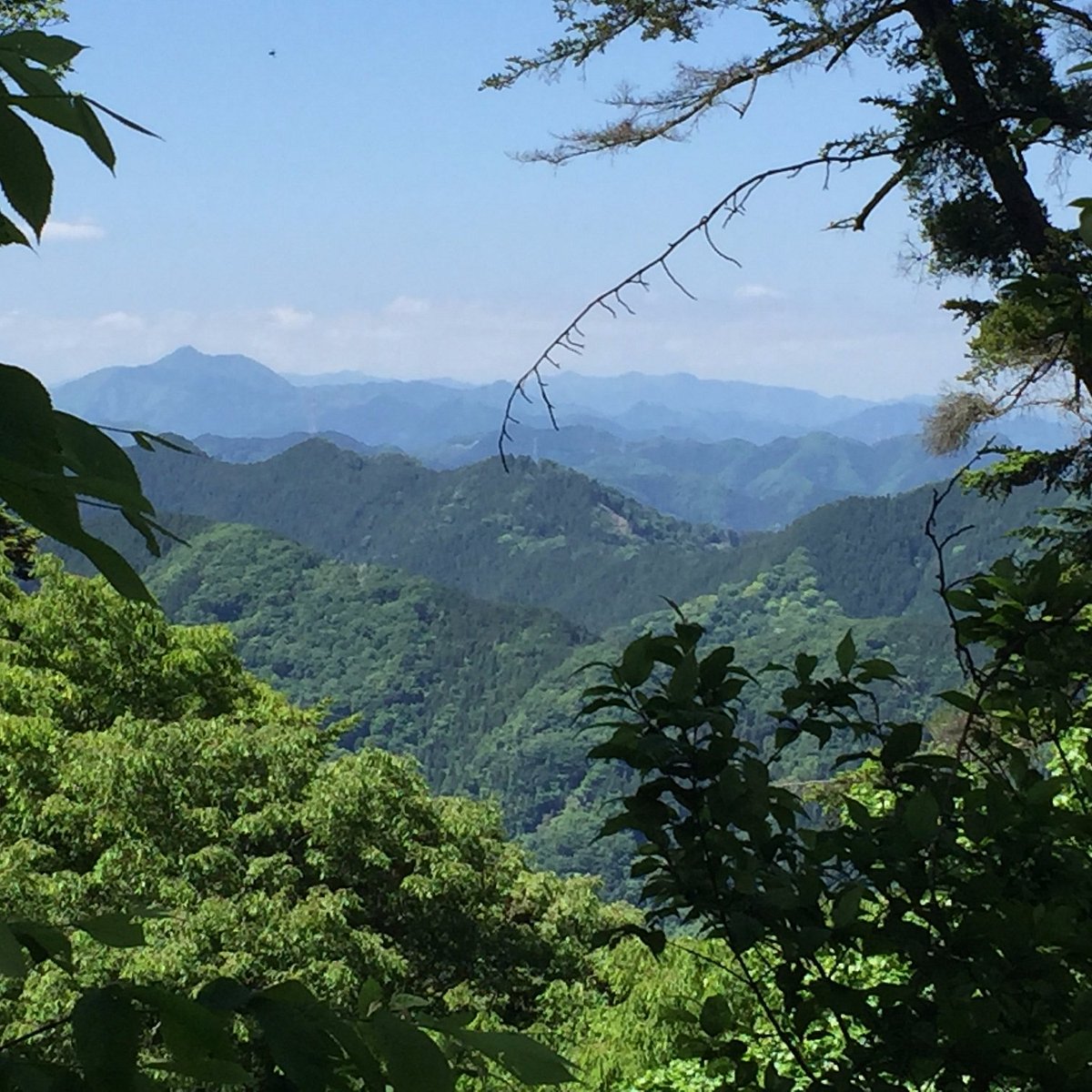 高尾山 八王子市 旅游景点点评 Tripadvisor