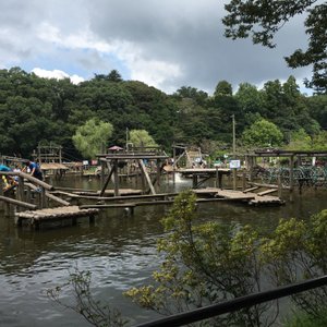 野田市の公園 自然 ベスト5 トリップアドバイザー