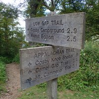 Mt Cammerer Fire Tower - All You Need to Know BEFORE You Go (2024)