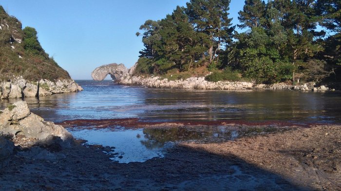 Imagen 6 de Playa La Huelga