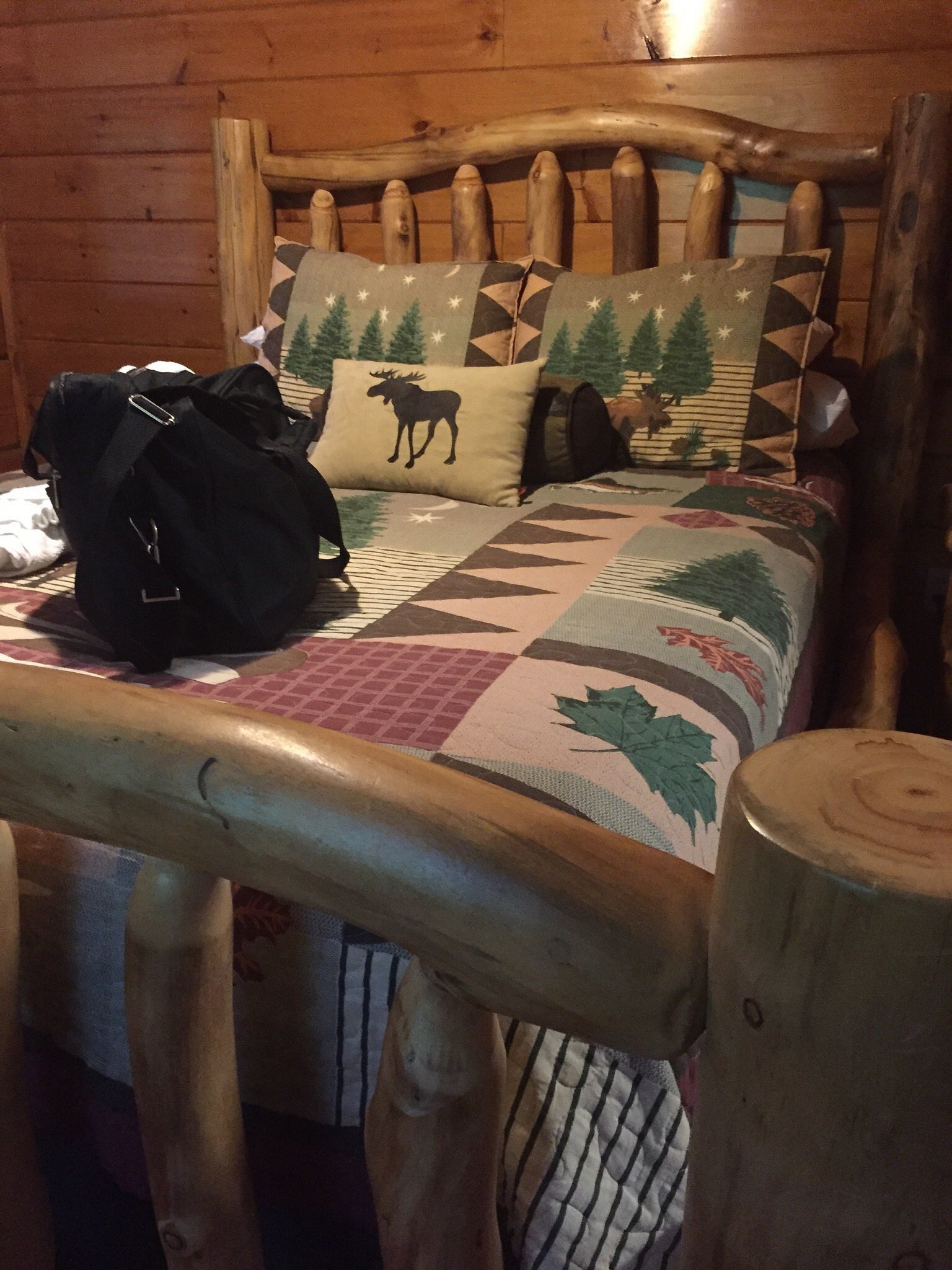 COUNTRY PINES LOG HOME RESORT Reviews (Pigeon TN)