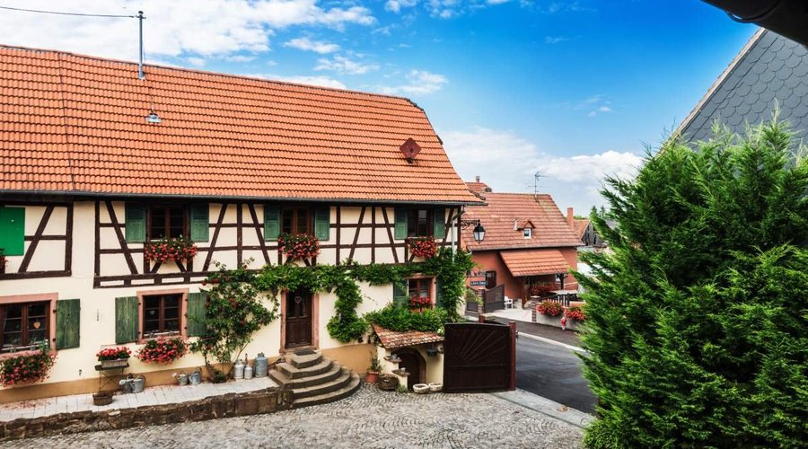 Notre ferme
