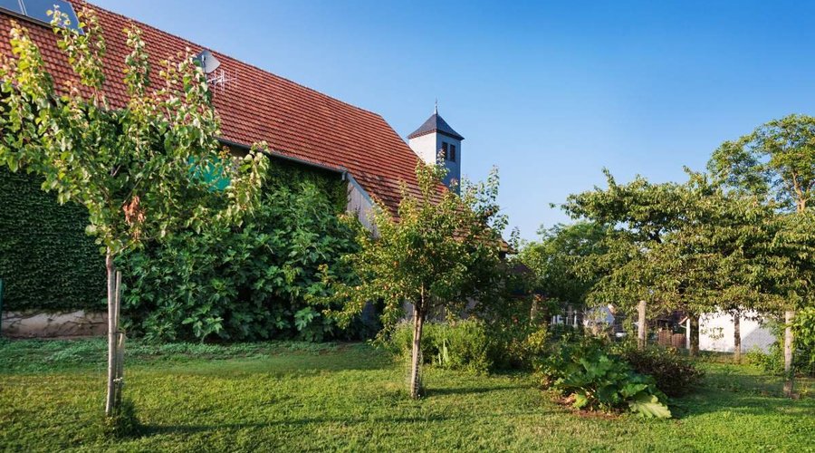 Notre jardin