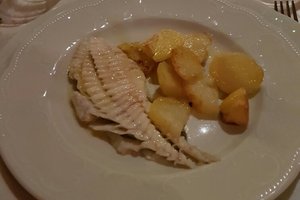 Cibo
