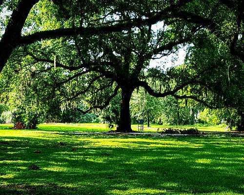 Venture Touhou Forvent det THE 10 BEST Parks & Nature Attractions in New Orleans - Tripadvisor