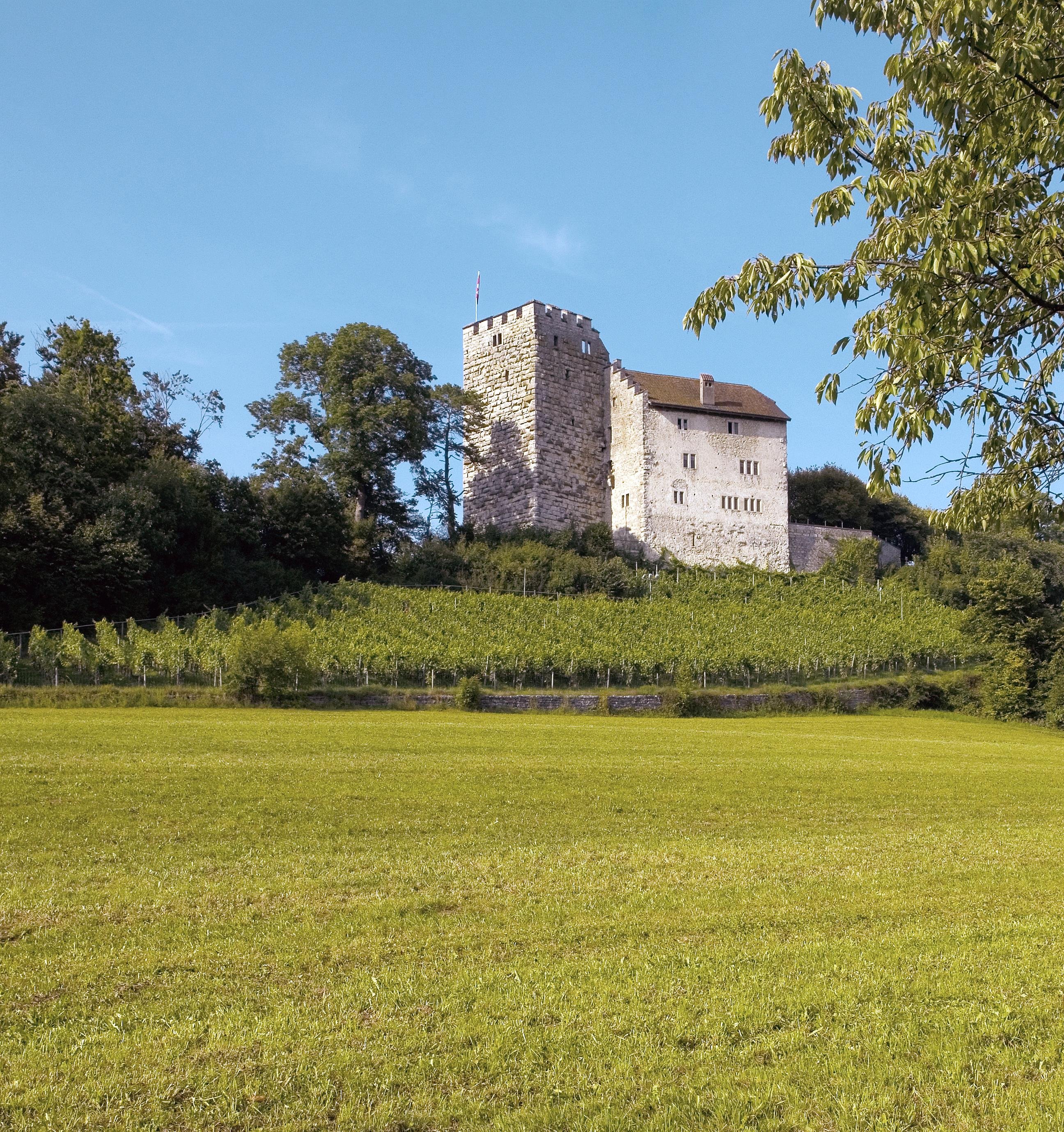 Schloss Habsburg: лучшие советы перед посещением - Tripadvisor