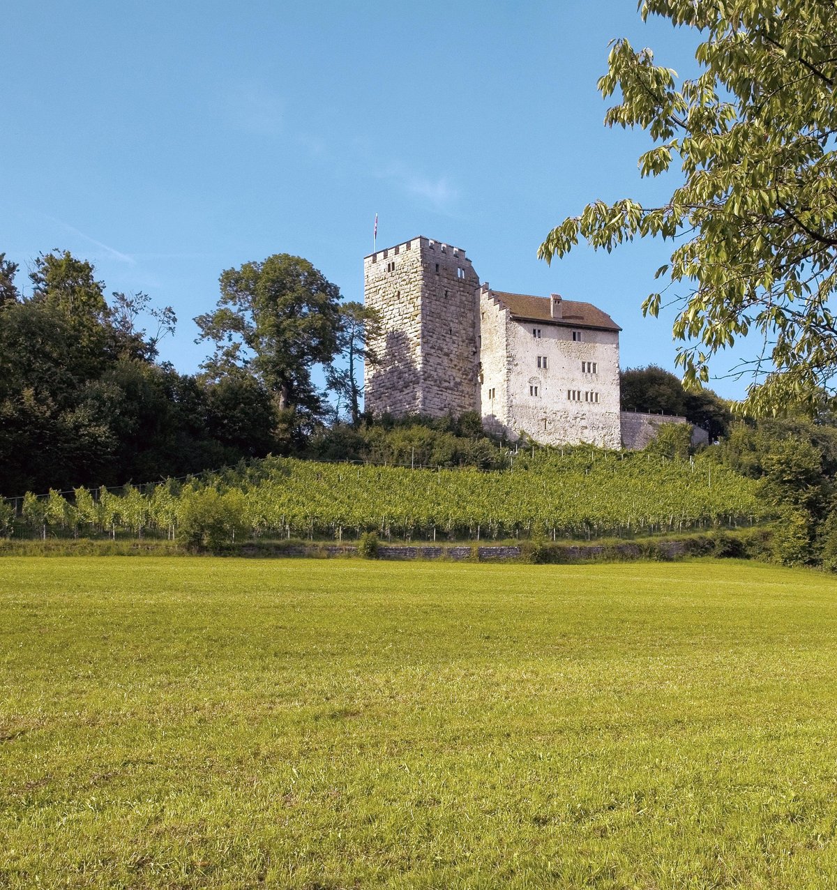Schloss Habsburg Aktuell für 2022 Lohnt es sich? (Mit fotos)