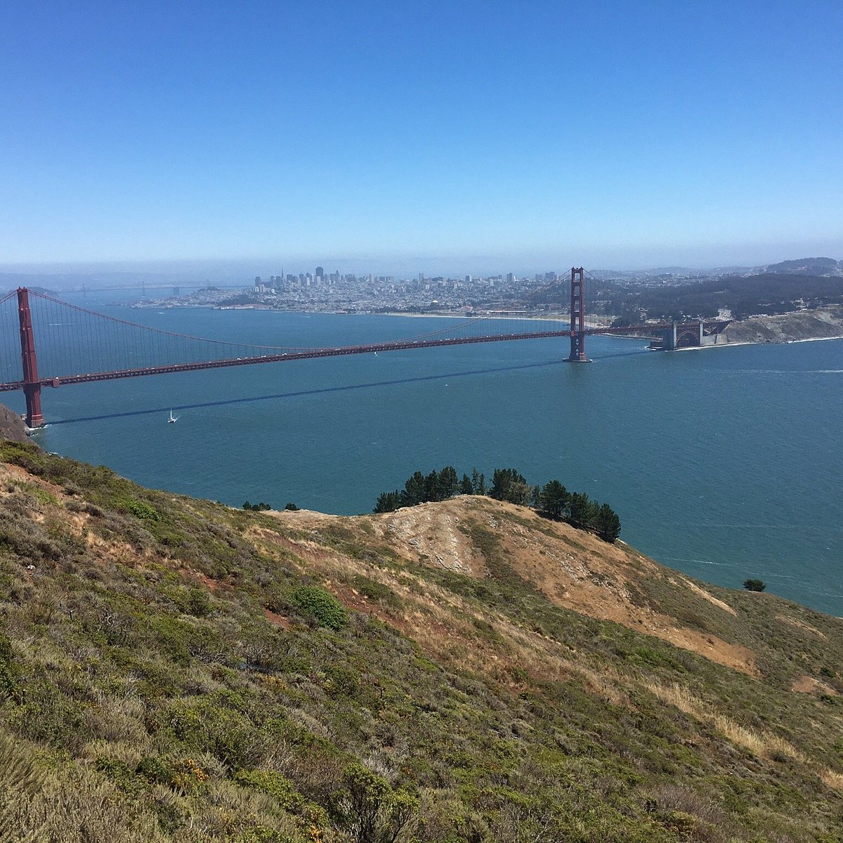 ST San Francisco Tours and Charters (Pinole, CA): Hours, Address ...