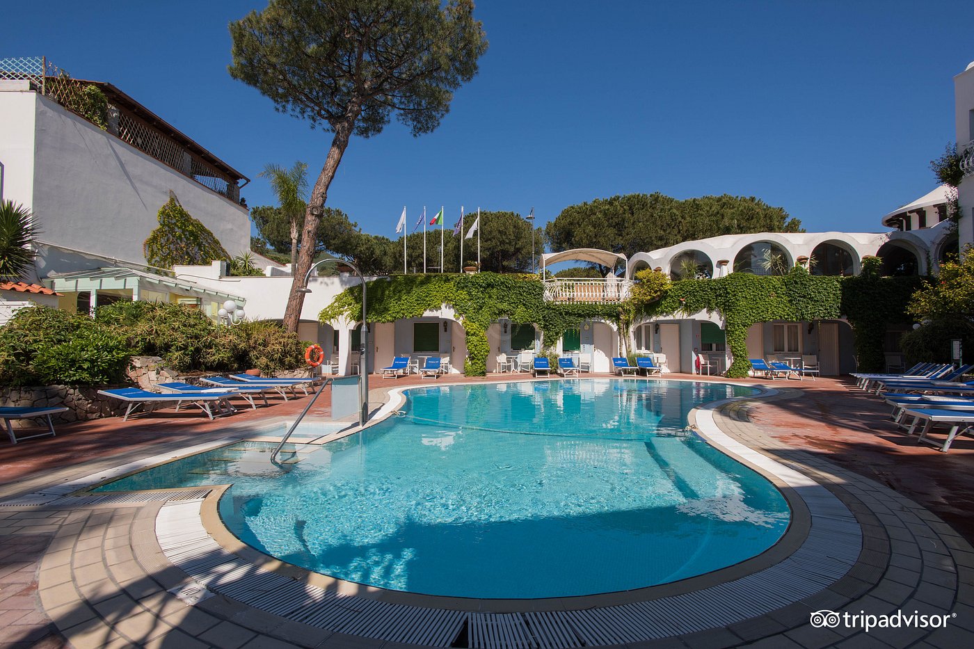 HOTEL CONTINENTAL ISCHIA - Updated 2024 Prices, Reviews, and Photos