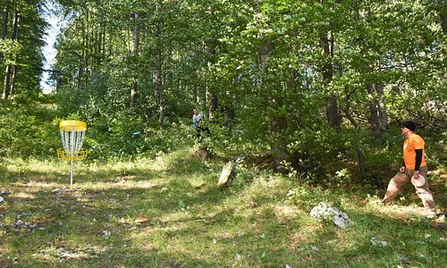 Play a round of disc golf at Platak