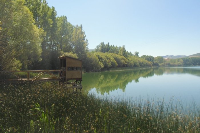 obervatorio de aves