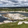 Things To Do in Port aux Basques Marine Excursions Inc., Restaurants in Port aux Basques Marine Excursions Inc.