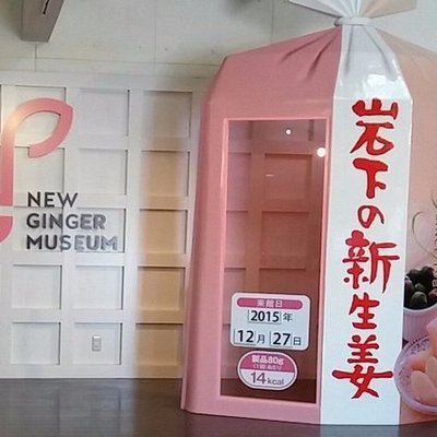 栃木市で雨の日に楽しめるイチ押しの屋内観光スポット トリップアドバイザー