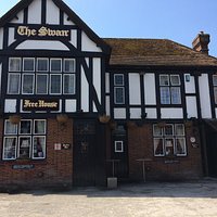 The Swan