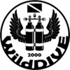 KaySiegmund
