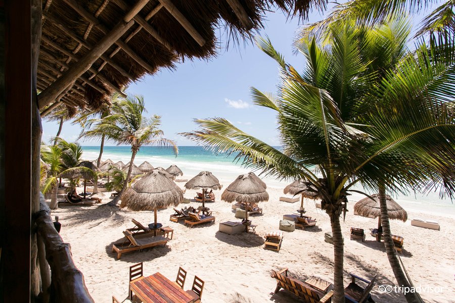 ROSA DEL VIENTO - Updated 2022 Prices, Reviews (Tulum, Mexico)