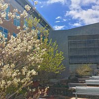 Landscaping and seating outside RSF