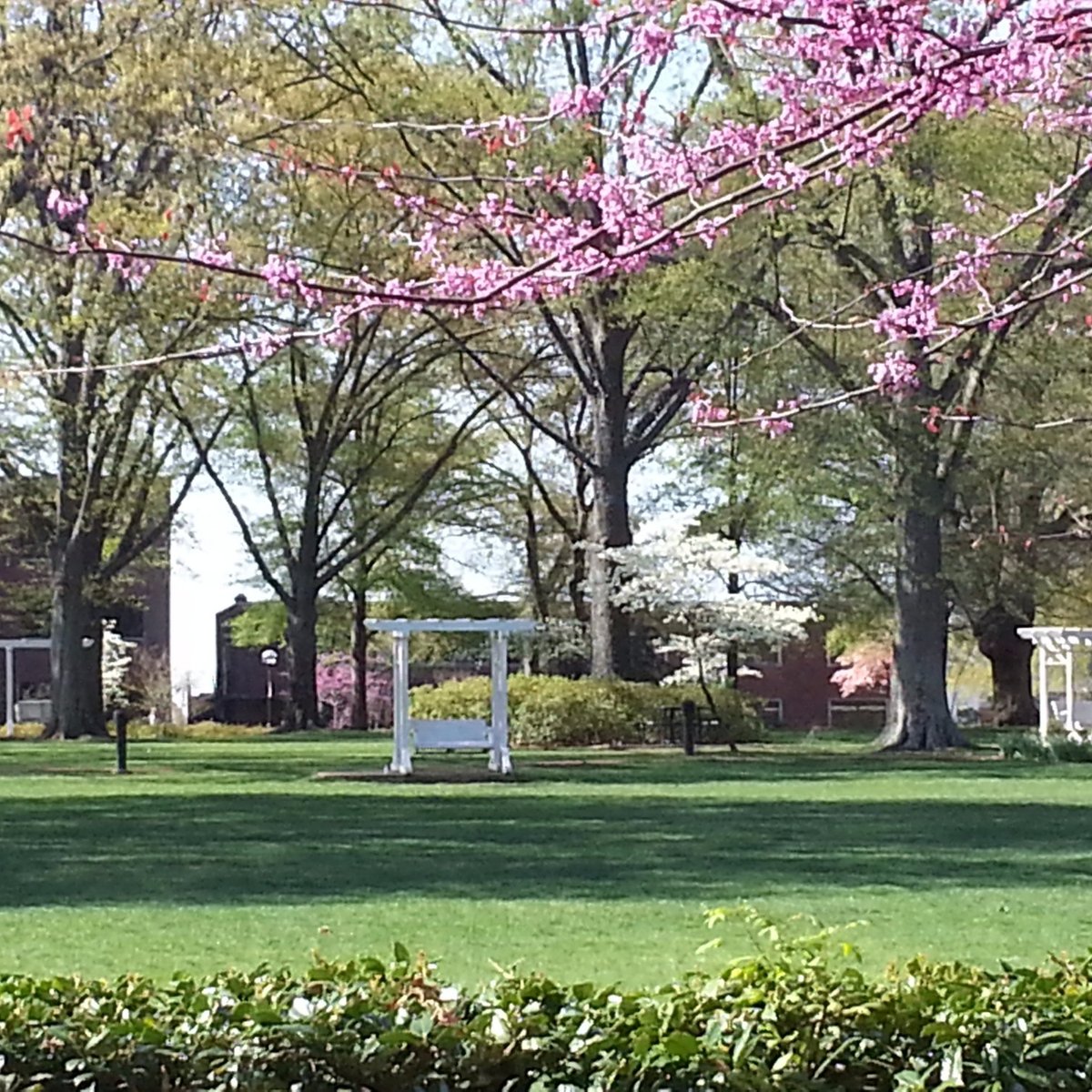 Harding University (Searcy) ATUALIZADO 2022 O que saber antes de ir