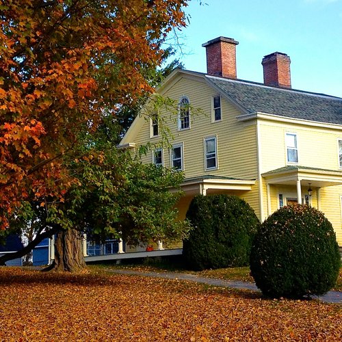 Violet Hill Bed And Breakfast image
