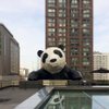 TravelPanda99