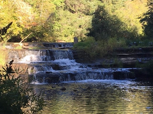 Siuslaw Falls image