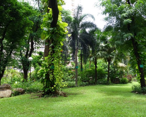 THE 10 BEST Parks & Nature Attractions in Metro Manila (2024)