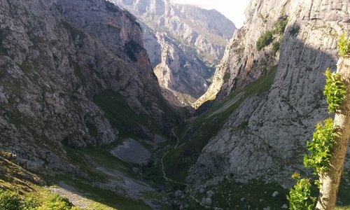 Vistas