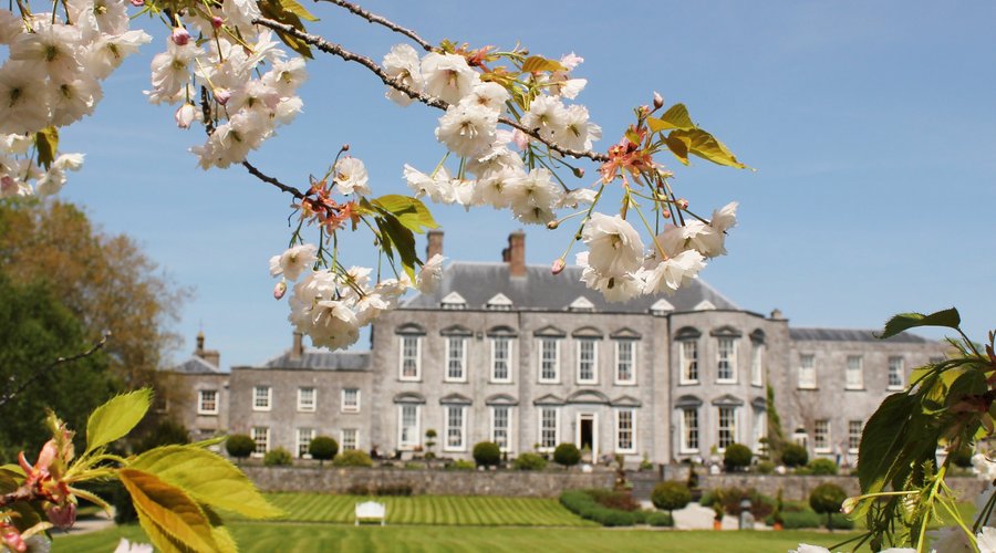 Castle in the Spring