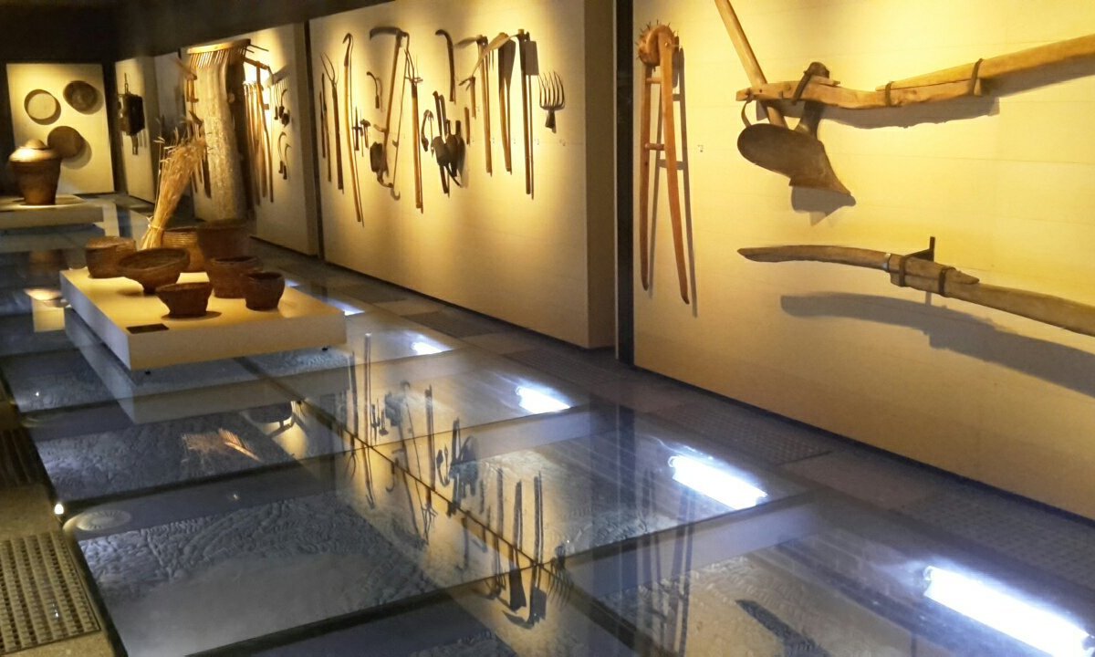 Museo Etnográfico Provincial de León (Mansilla de las Mulas) Lohnt es