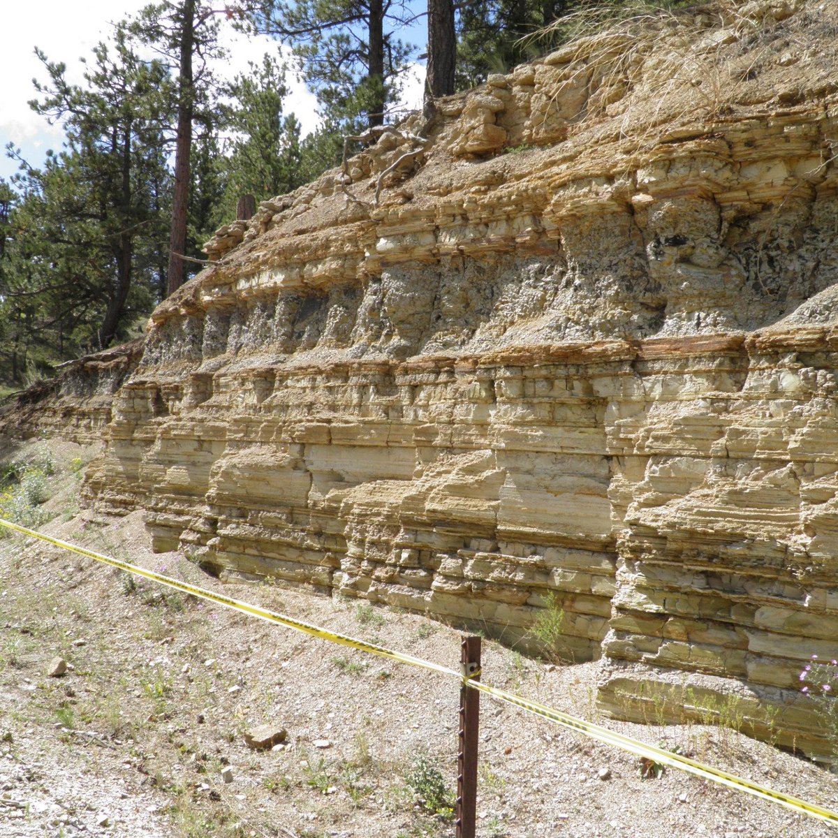 Florissant Fossil Quarry - All You Need to Know BEFORE You Go