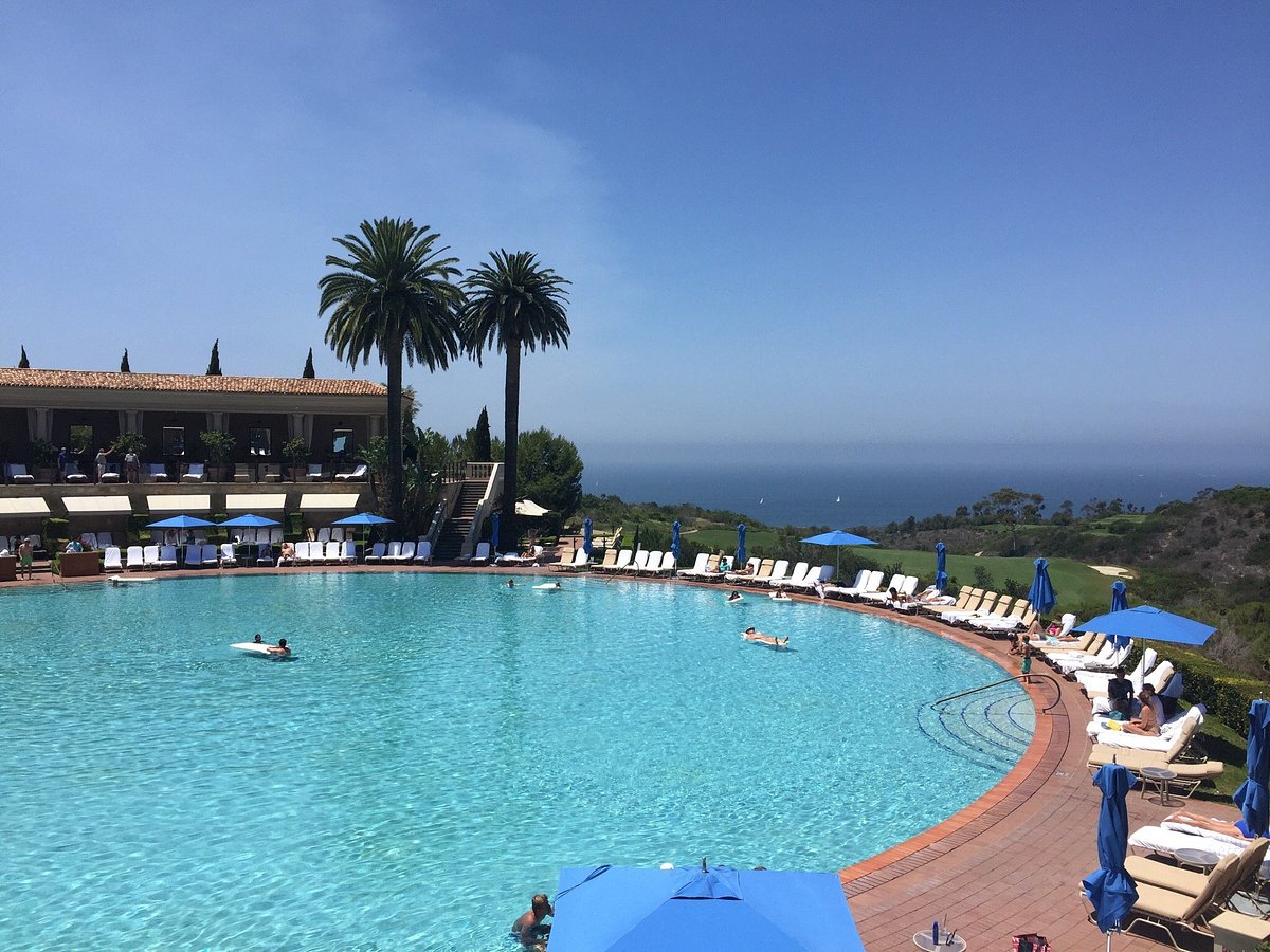 THE RESORT AT PELICAN HILL (Ньюпорт-Бич) - отзывы, фото и сравнение цен -  Tripadvisor