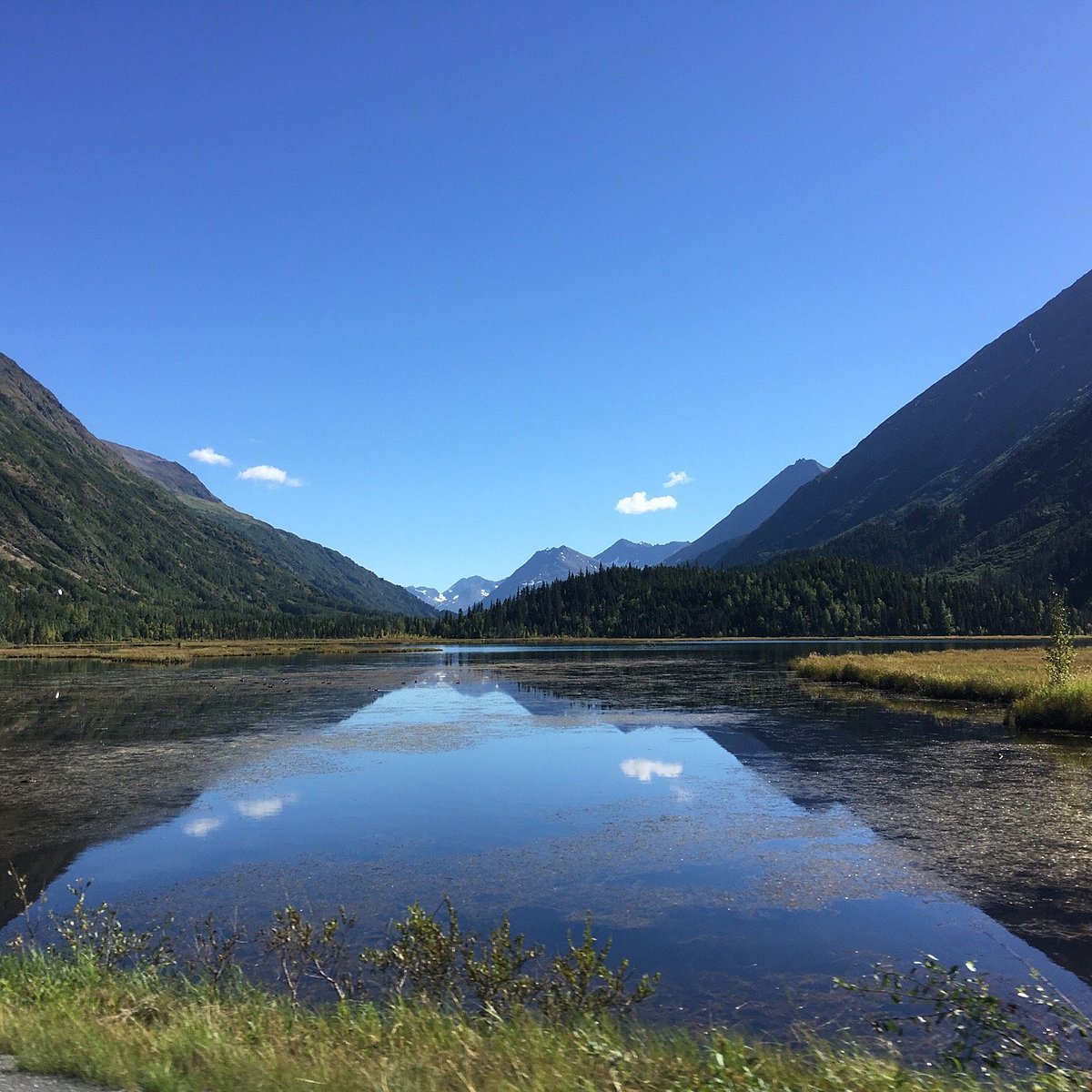 Chugach National Forest, Аляска: лучшие советы перед посещением -  Tripadvisor