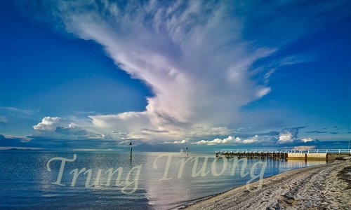 Trung Truong 2