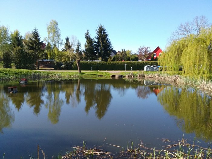 MUERITZ LANDHOTEL GRUENER BAUM Updated 2024 Prices, Reviews, and Photos