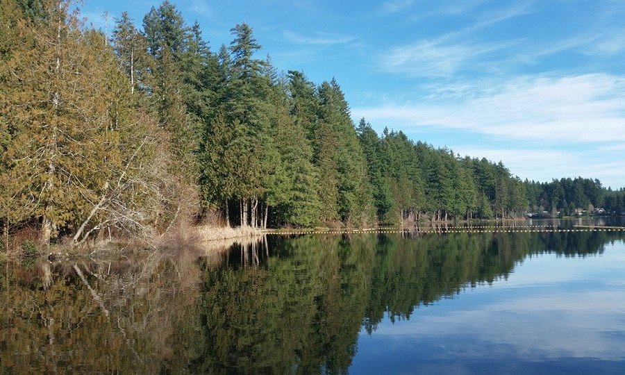 Millersylvania State Park image
