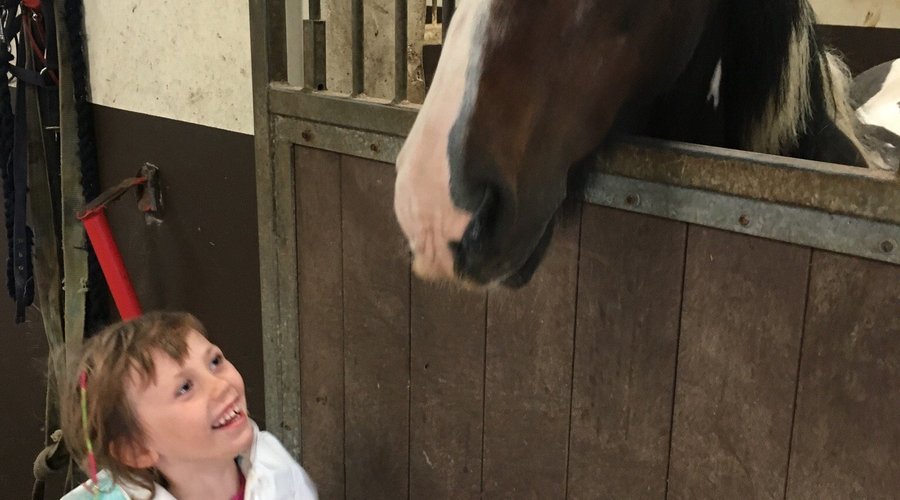 Buttons the pony