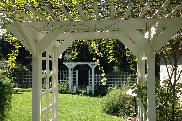 Yoga in the Welty Garden  Eudora Welty House & Garden