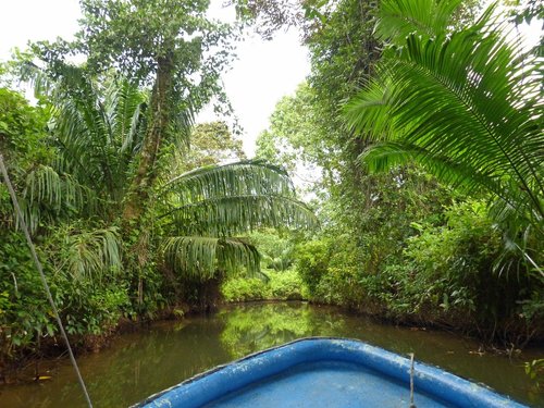 Bocas del Toro Province review images