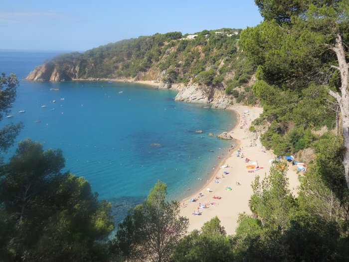 Camping Cala Llevado Pool Pictures & Reviews - Tripadvisor