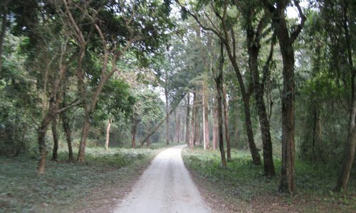 Jalpaiguri District 2024: Best Places to Visit - Tripadvisor