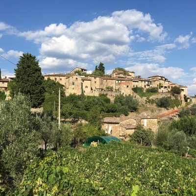 RISTORANTE LA CASTELLANA, Greve in Chianti - Restaurant Reviews, Photos ...