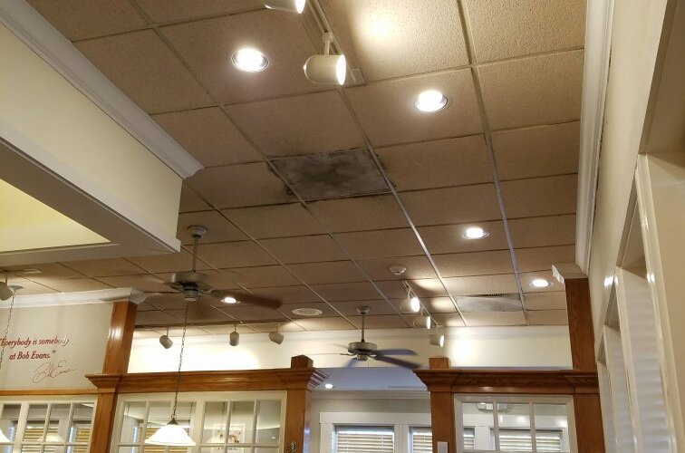 Bob Evans