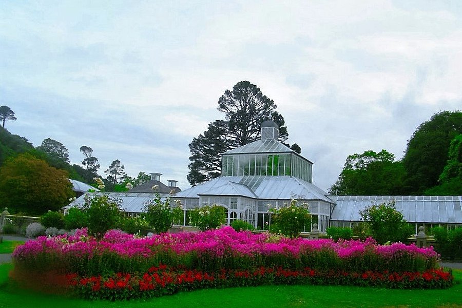 Dunedin Botanic Garden image
