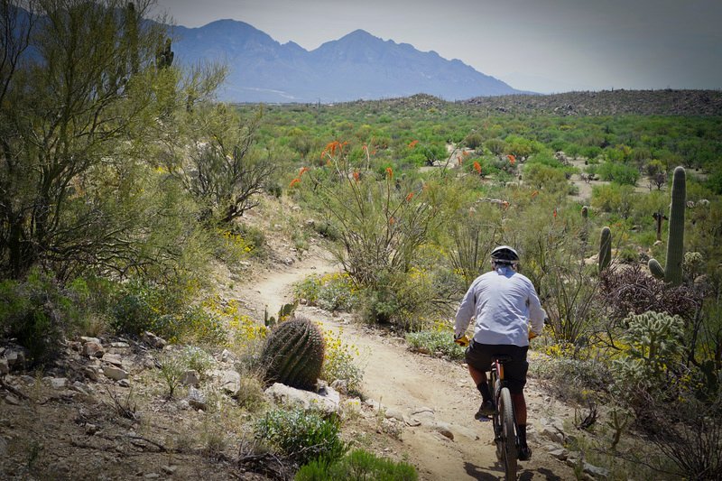 Mountain Bike Аризона