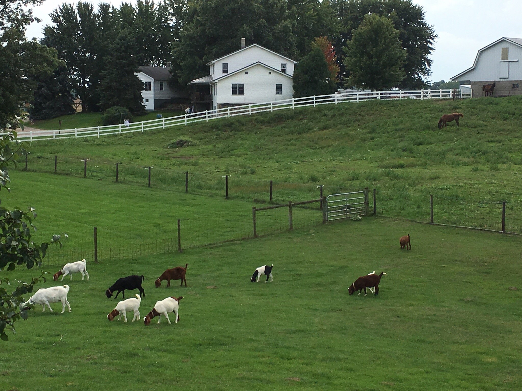 SONGBIRD RIDGE BED & BREAKFAST (Shipshewana, IN) - Tarifs 2024