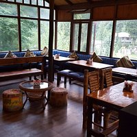 Lazy dog Lounge