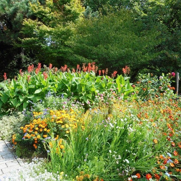 Reichardts Garten (Halle (Saale)) Alles wat u moet weten VOORDAT je